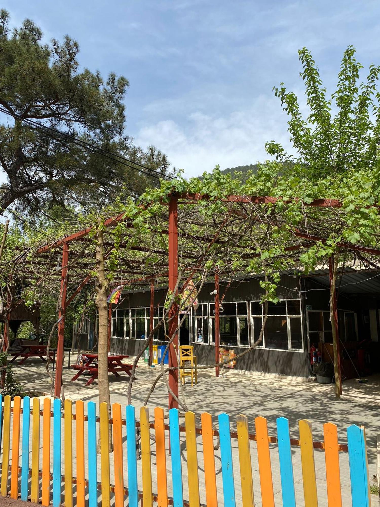 Olympos Camlik Pension Экстерьер фото