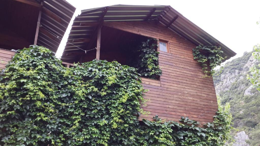 Olympos Camlik Pension Экстерьер фото