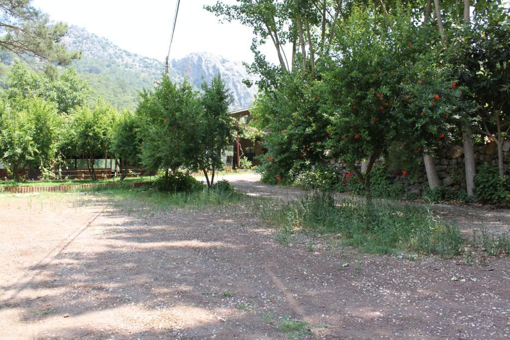 Olympos Camlik Pension Экстерьер фото