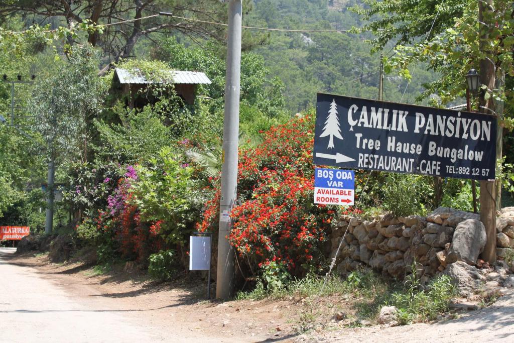 Olympos Camlik Pension Экстерьер фото