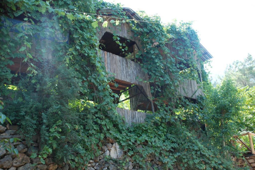 Olympos Camlik Pension Экстерьер фото